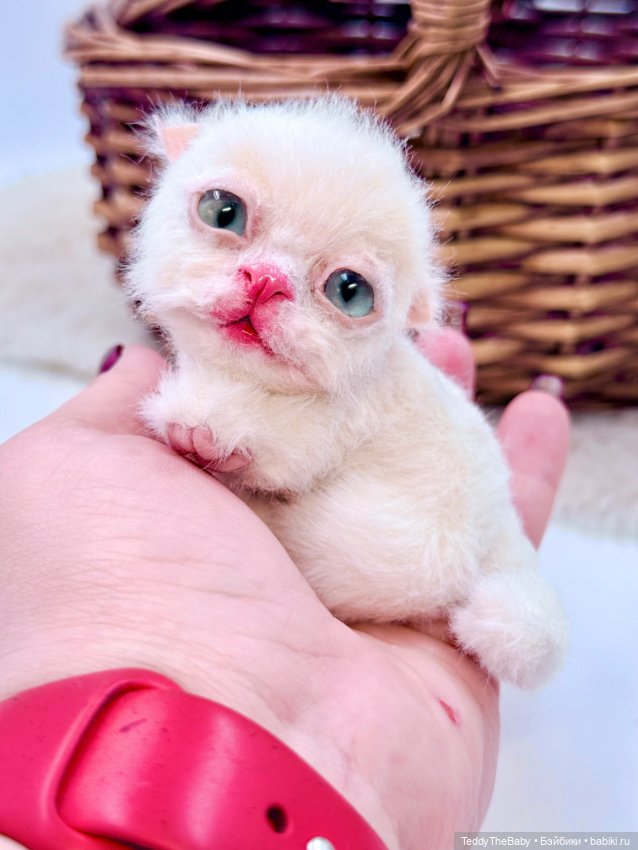 Миу 🐈 — Авторские игрушки