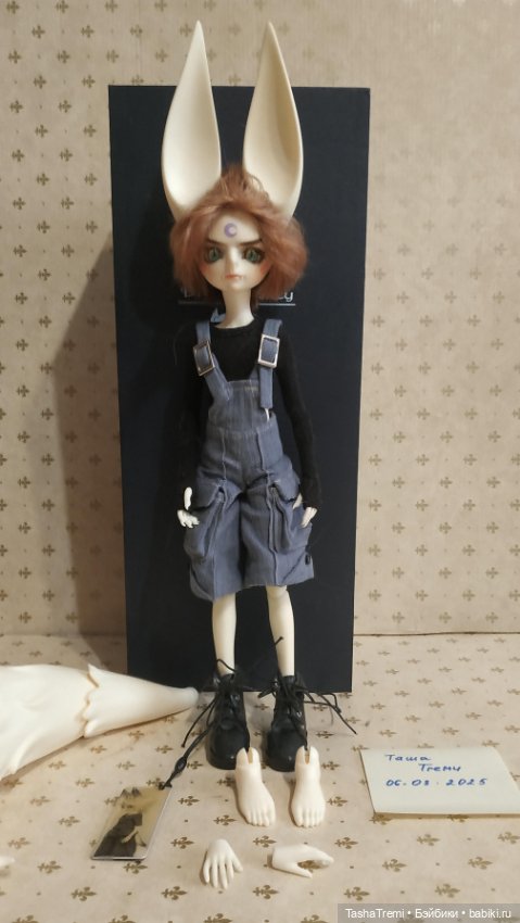 Dream Valley 1/6 wolf boy Aiden (фото 4)