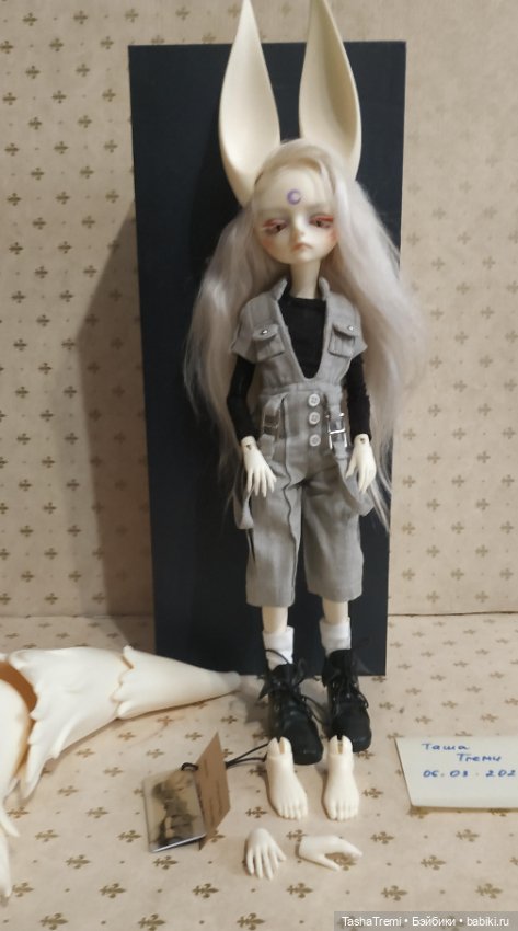 Dream Valley 1/6 wolf boy Glen (фото 4)