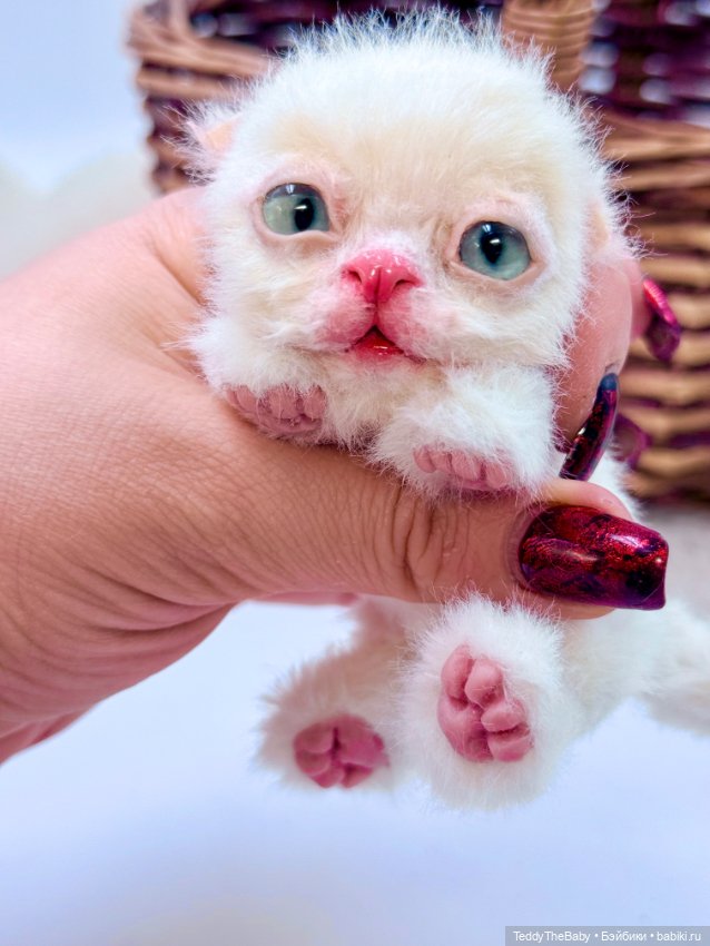 Миу 🐈 — Авторские игрушки (фото 9)