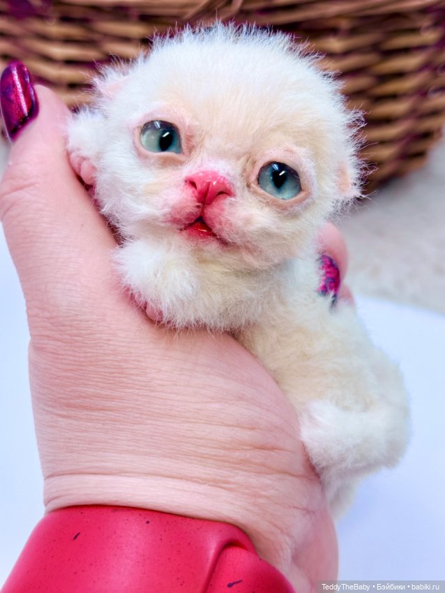 Миу 🐈 — Авторские игрушки (фото 4)