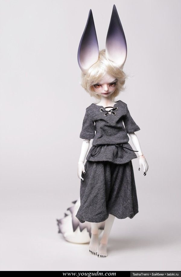 Dream Valley 1/6 wolf boy Aiden