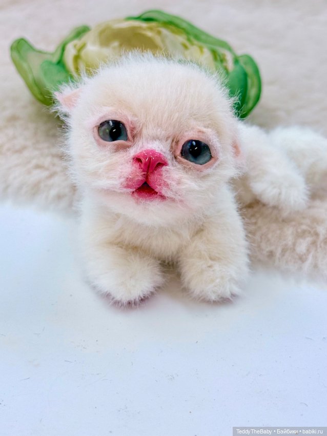 Миу 🐈 — Авторские игрушки (фото 10)