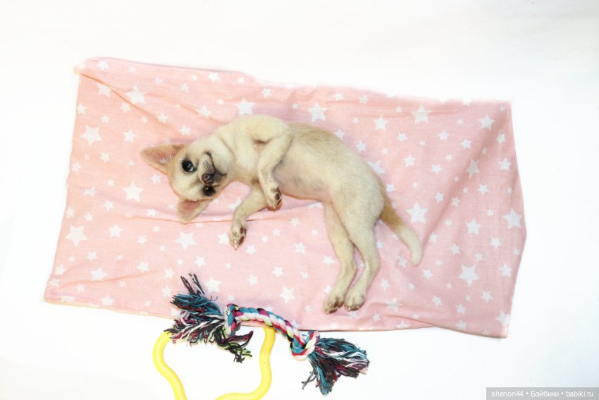 Чихуахуа — Авторские игрушки (фото 3)