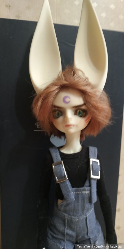 Dream Valley 1/6 wolf boy Aiden (фото 2)