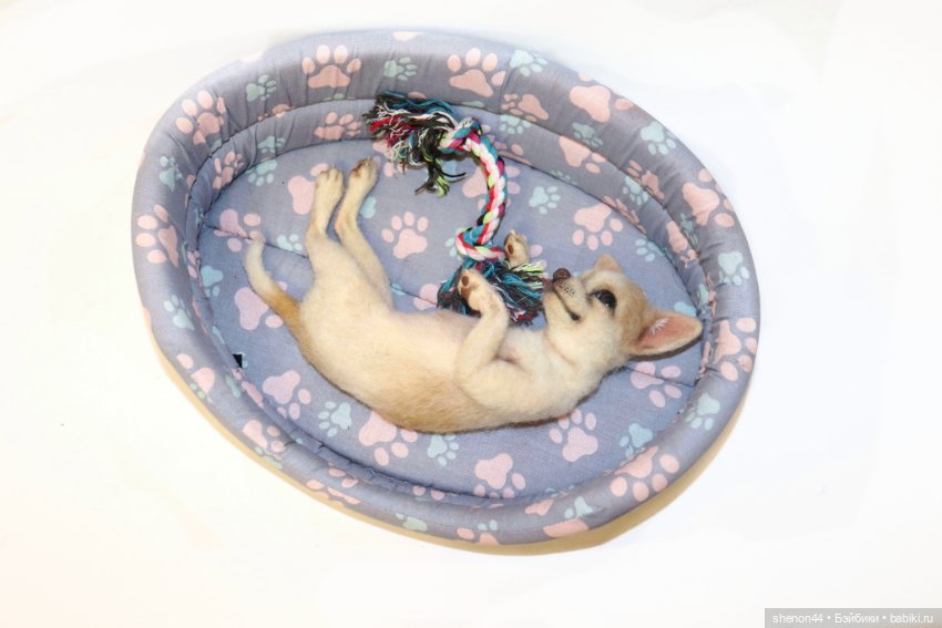 Чихуахуа — Авторские игрушки (фото 5)