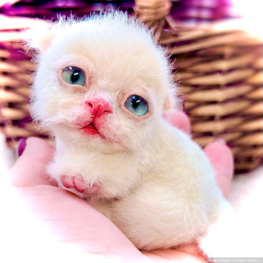 Миу 🐈 — Авторские игрушки (фото 5)