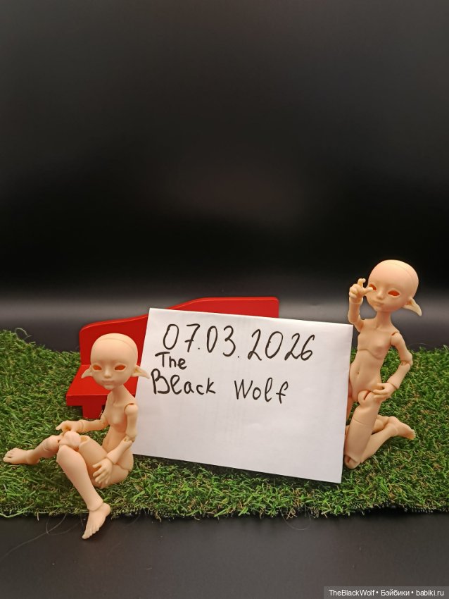 Эльфийки — Куклы BJD (фото 5)