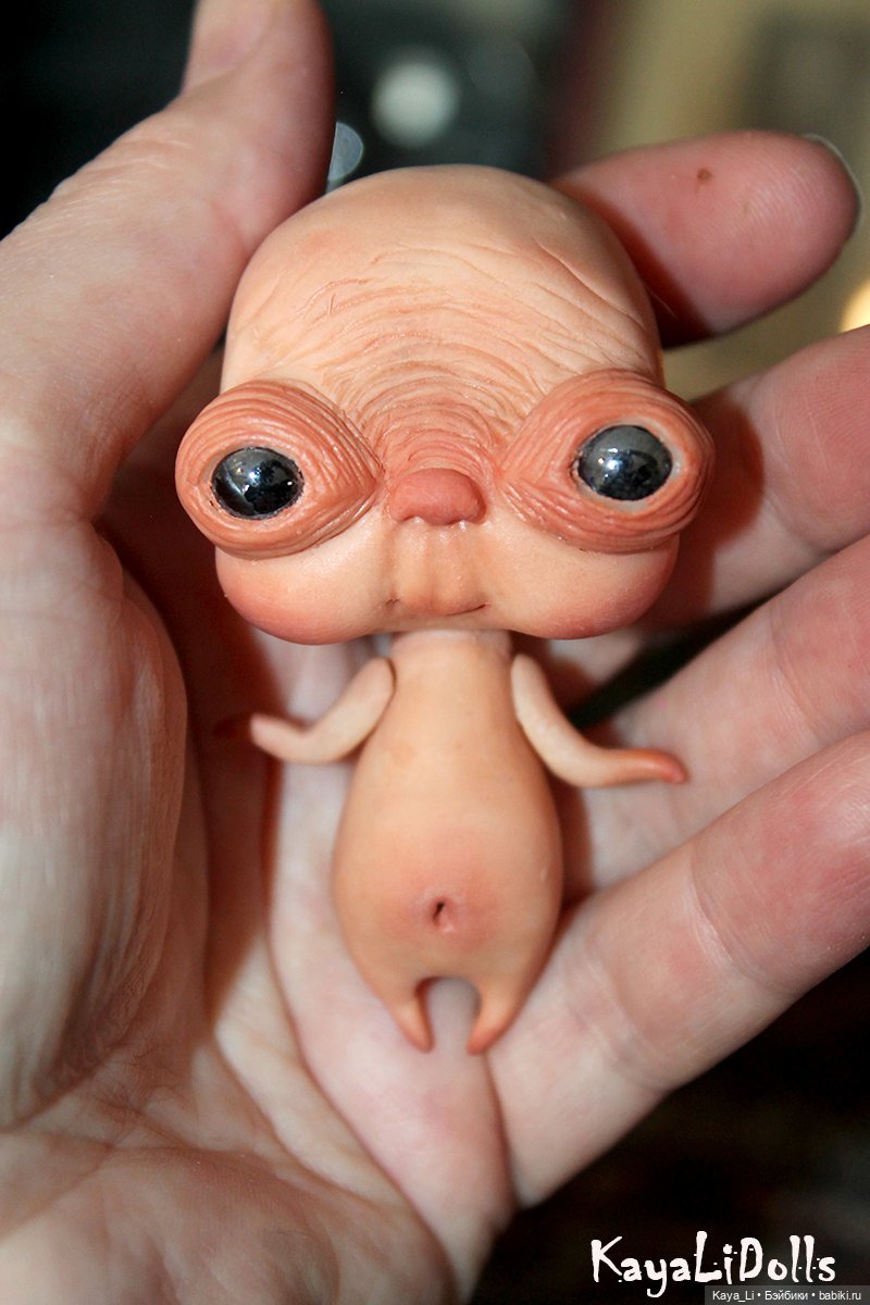 Любимчик Пончик — Авторские игрушки (фото 2)