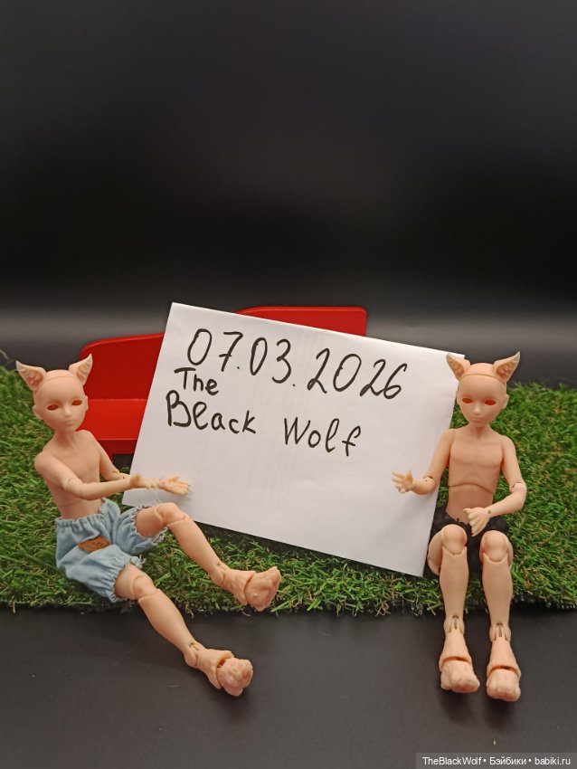 Мальчишки Вульфики — Куклы BJD (фото 8)