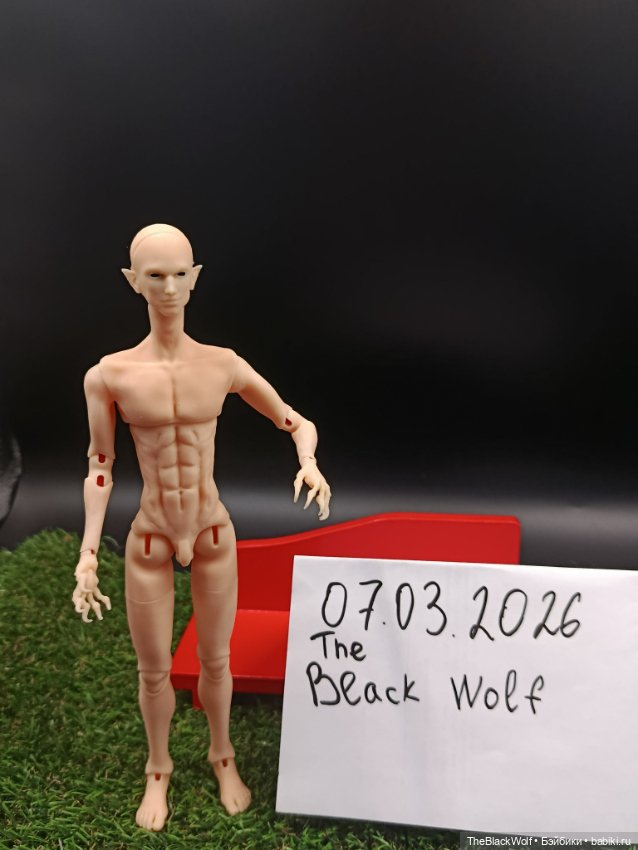 Вульф — Куклы BJD (фото 2)