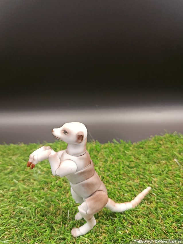 Сурикат — Куклы BJD (фото 2)