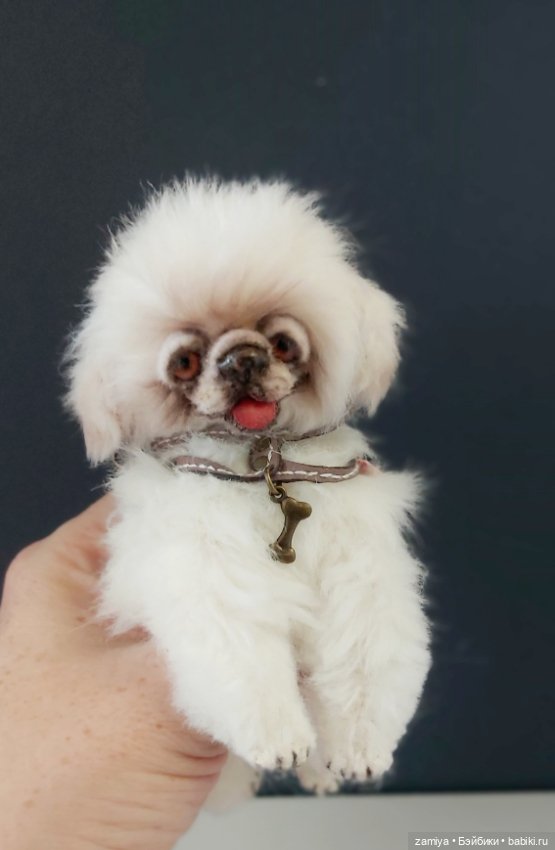 Пушистик неизвестной породы