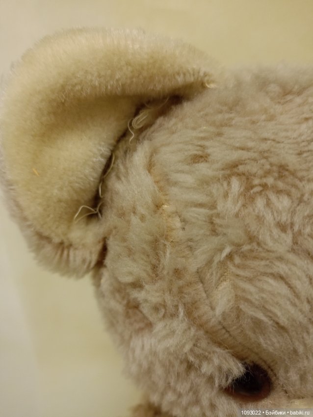 Мишка Тедди винтажный, Германия 60-70х гг (фото 5)