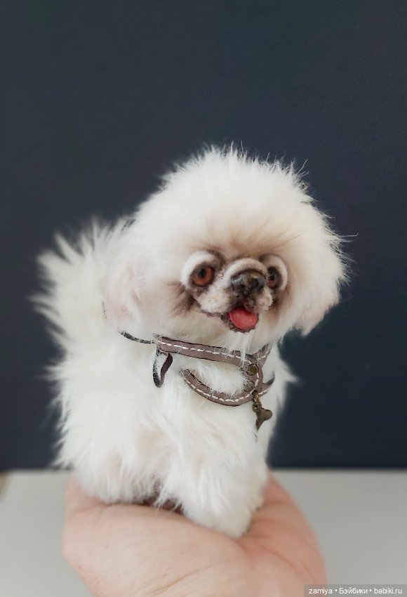 Пушистик неизвестной породы (фото 2)