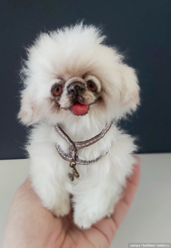 Пушистик неизвестной породы (фото 3)