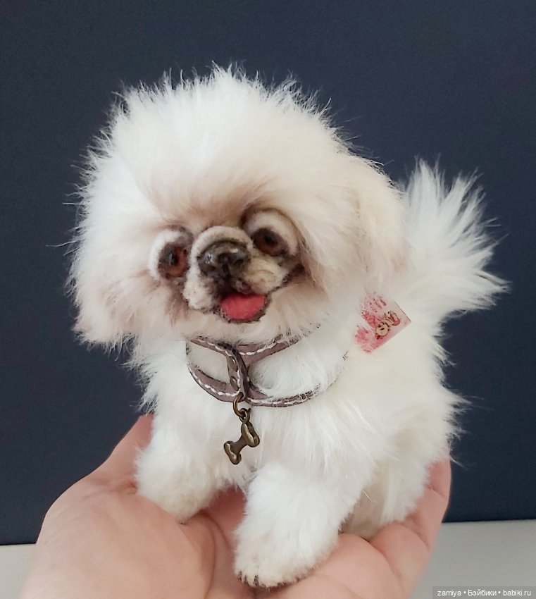 Пушистик неизвестной породы (фото 5)