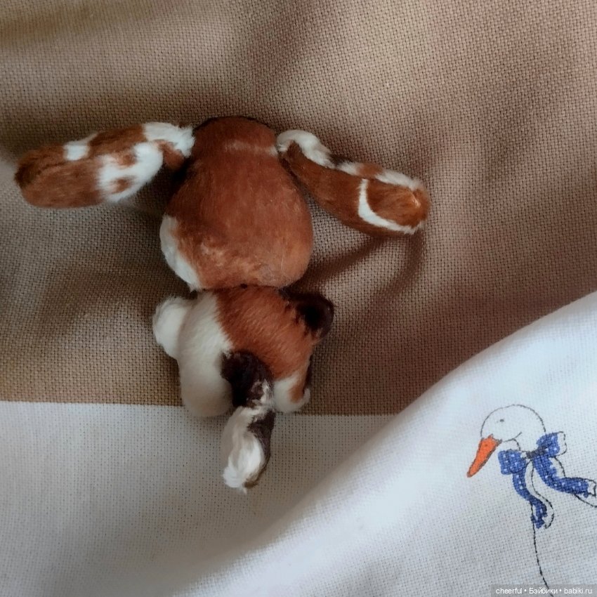 Собака — Одежда (фото 4)