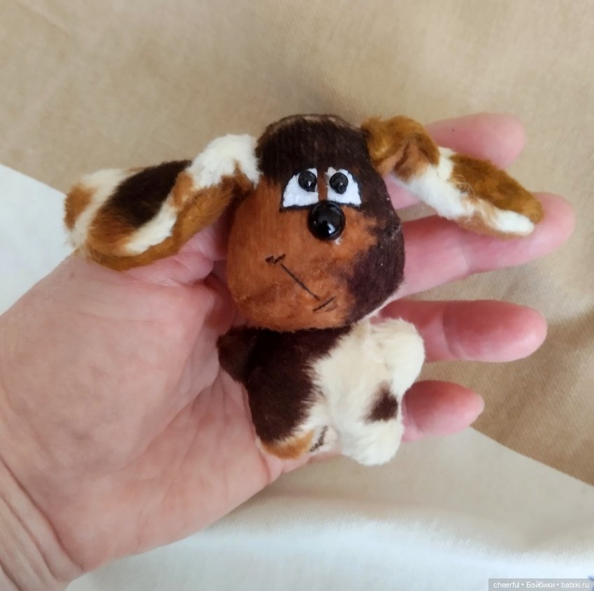 Собака — Одежда (фото 7)