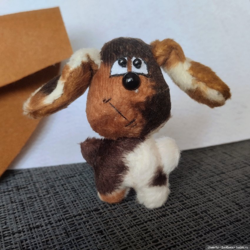 Собака — Одежда