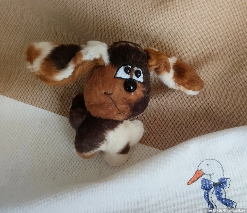 Собака — Одежда (фото 2)