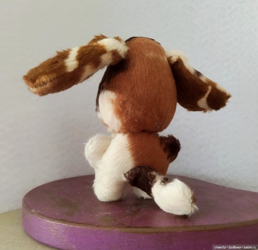 Собака — Одежда (фото 5)