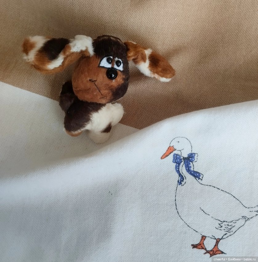 Собака — Одежда (фото 3)