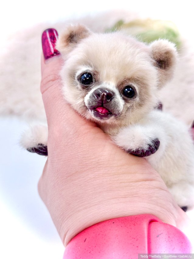 Sammy — Авторские игрушки