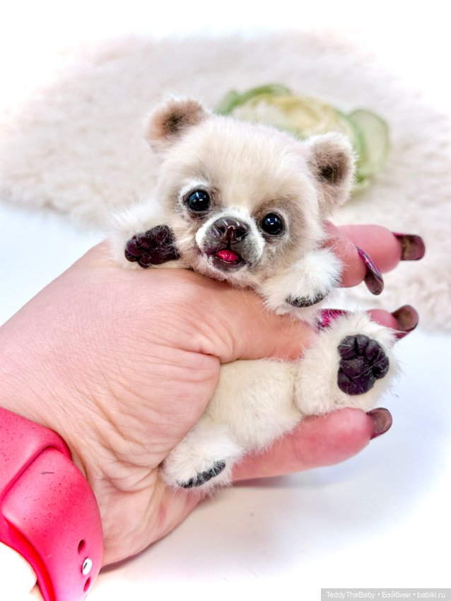 Sammy — Авторские игрушки