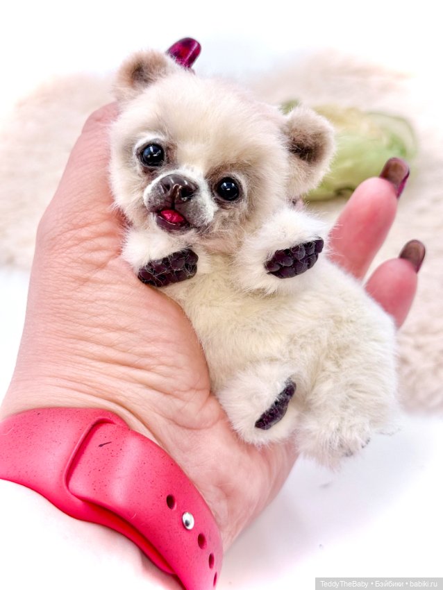 Sammy — Авторские игрушки