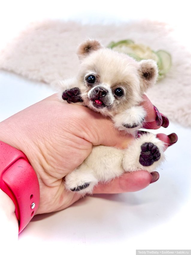 Sammy — Авторские игрушки