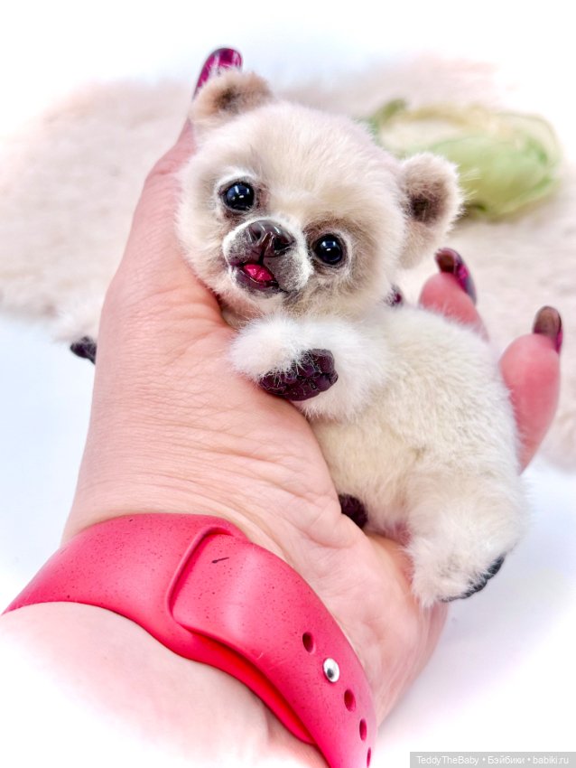 Sammy — Авторские игрушки (фото 6)