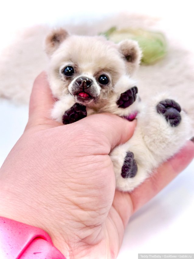 Sammy — Авторские игрушки (фото 3)