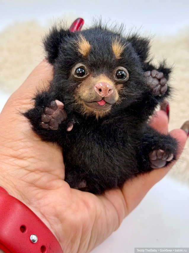 Shaddy — Авторские игрушки (фото 6)