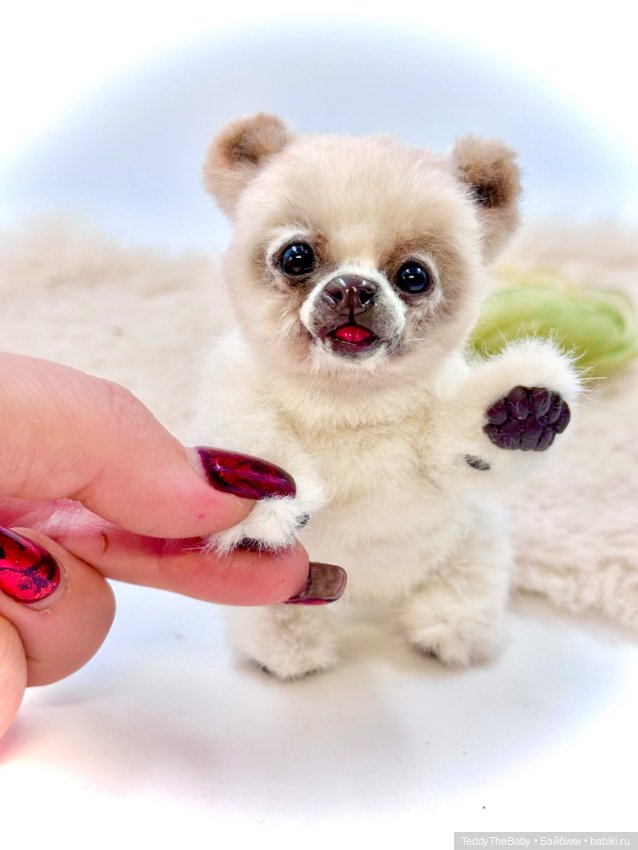 Sammy — Авторские игрушки (фото 5)