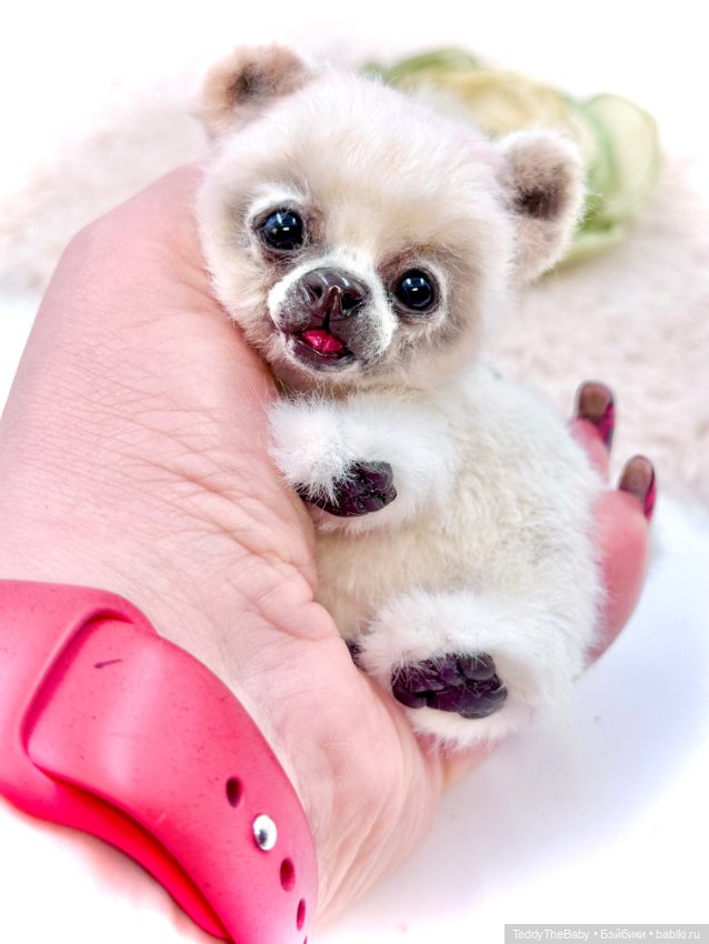 Sammy — Авторские игрушки (фото 8)