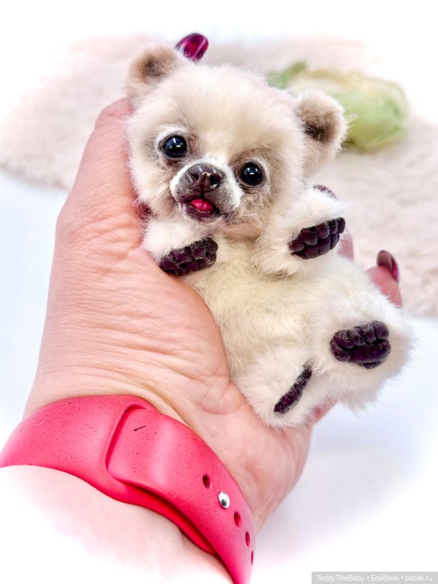 Sammy — Авторские игрушки (фото 2)