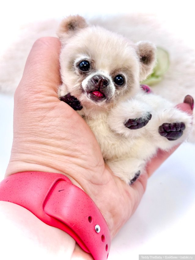 Sammy — Авторские игрушки (фото 9)