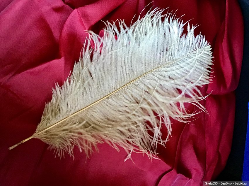 Шикарное перо страуса премиального качества , бежевое , для кукольного декора (фото 2)