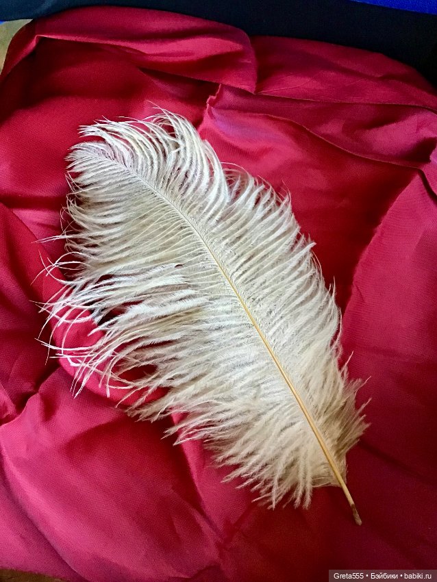 Шикарное перо страуса премиального качества , бежевое , для кукольного декора
