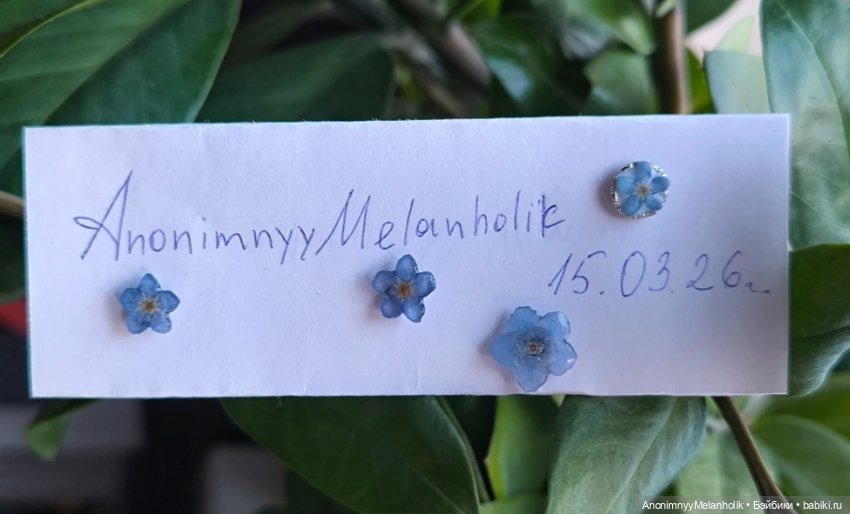 Броши Незабудки — Аксессуары для кукольных фотосессий (фото 8)