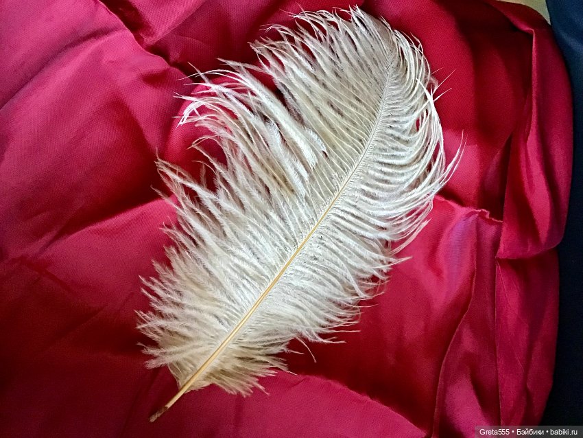 Шикарное перо страуса премиального качества , бежевое , для кукольного декора (фото 3)