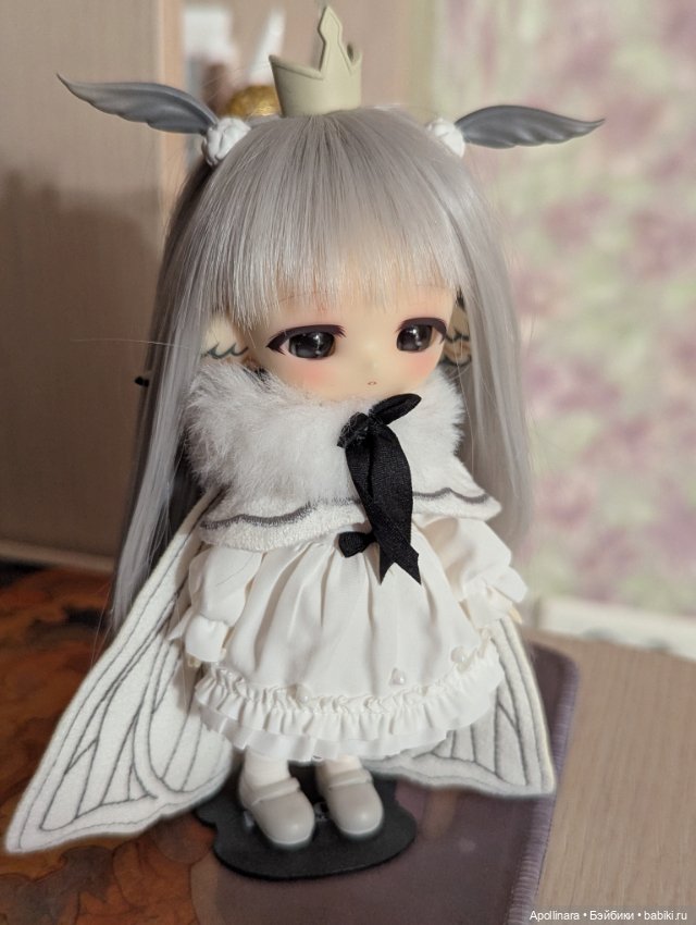 Piccodo bjd ob11 — Куклы BJD