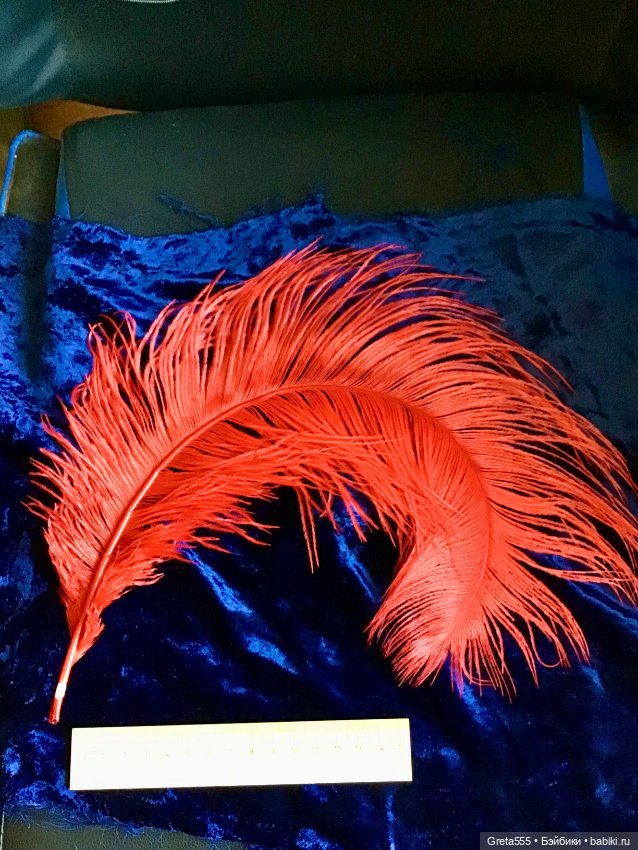 Красное крупное перо страуса , премиального качества , для декора кукол (фото 3)