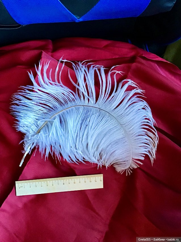 Белоснежное перо страуса премиального качества , уже изогнутое , для кукольного декора (фото 4)