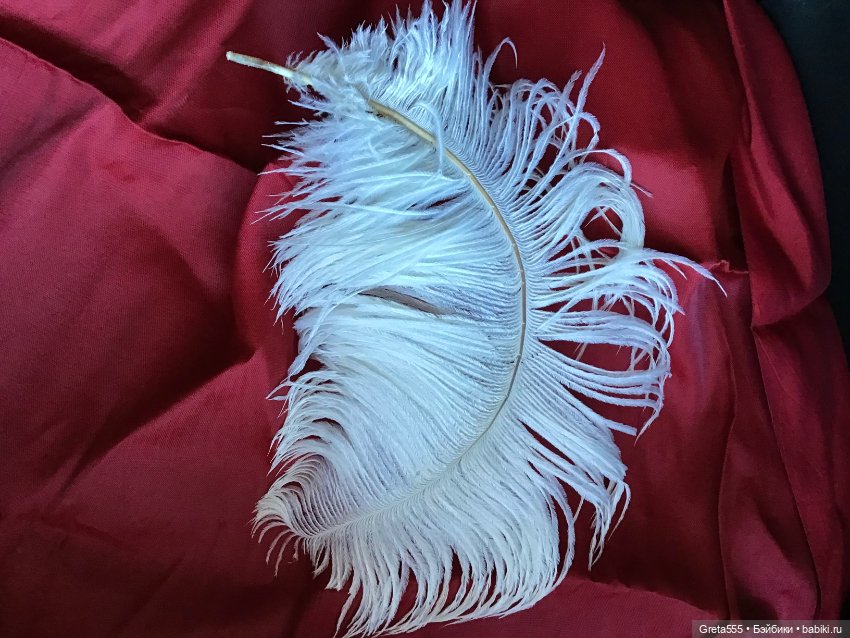Белоснежное перо страуса премиального качества , уже изогнутое , для кукольного декора (фото 5)
