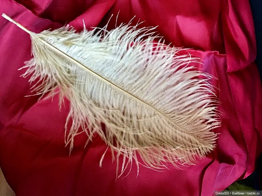 Шикарное перо страуса премиального качества , бежевое , для кукольного декора (фото 4)