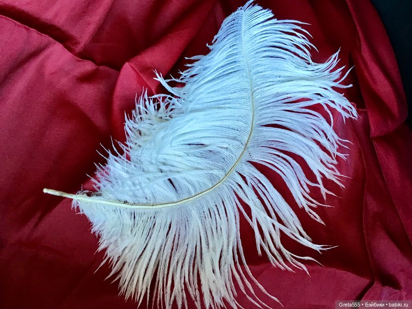Белоснежное перо страуса премиального качества , уже изогнутое , для кукольного декора (фото 3)