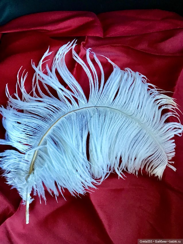 Белоснежное перо страуса премиального качества , уже изогнутое , для кукольного декора (фото 2)