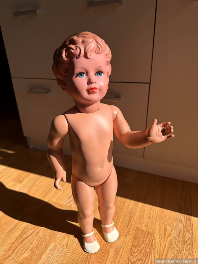 Schildcrot в идеальном состоянии